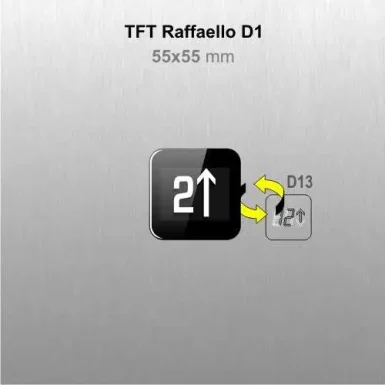 raffaello_d1